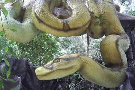 Titanoboa, la serpiente más grande de la historia