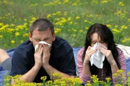 Alergias: causas, tipos y consejos