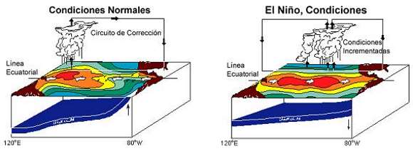 Cómo Se Produce El Fenómeno De "El Niño" | Sobre Curiosidades : Sobre ...