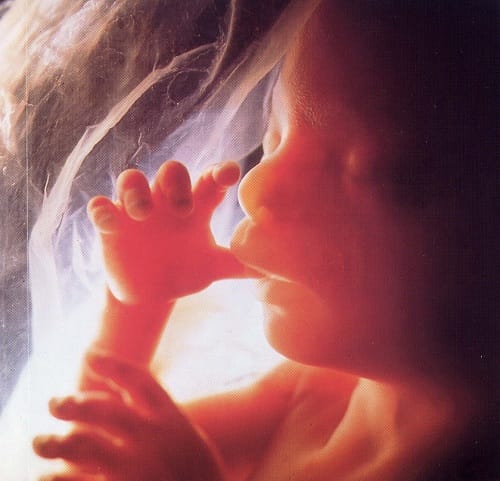 Foto Feto en utero materno