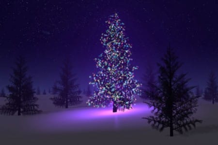 Por qué decoramos un árbol en Navidad