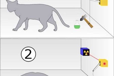 La paradoja del Gato de Schrödinger