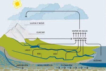 El ciclo del agua: Qué es y función