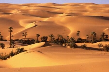 Curiosidades del Desierto del Sahara
