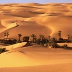 Curiosidades del Desierto del Sahara